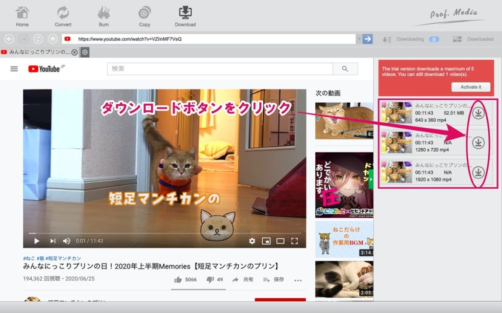 動画-ダウンロード