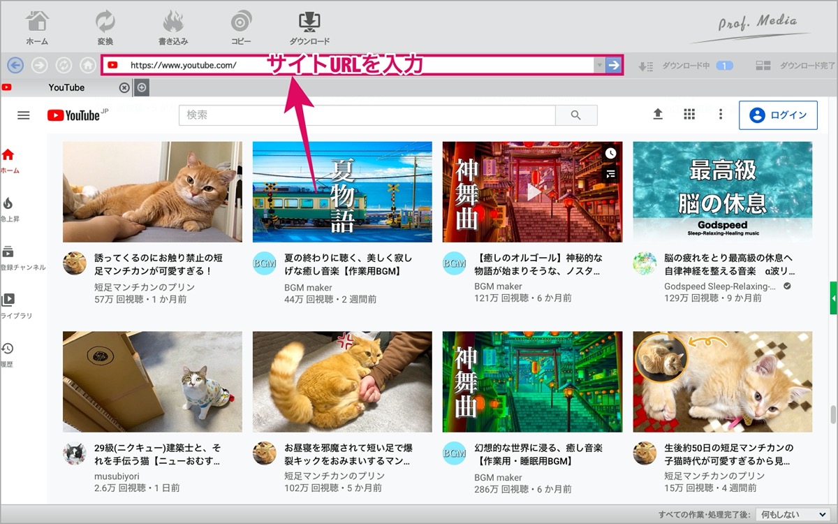 サイト検索