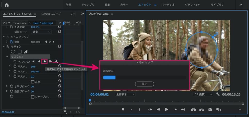 Premiere-モザイク-追従設定