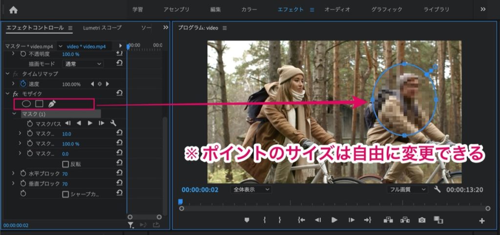 Premiere-モザイク-部分設定