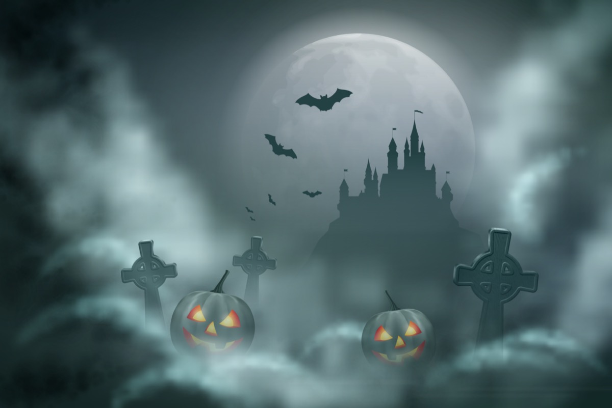 freepik-113