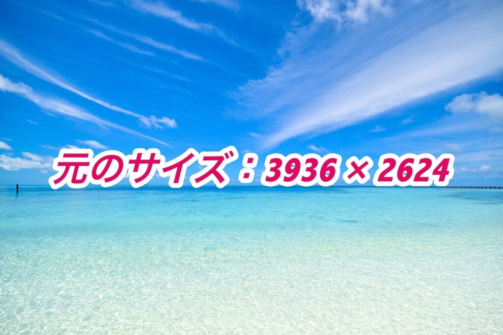 元のサイズ：3936 × 2624