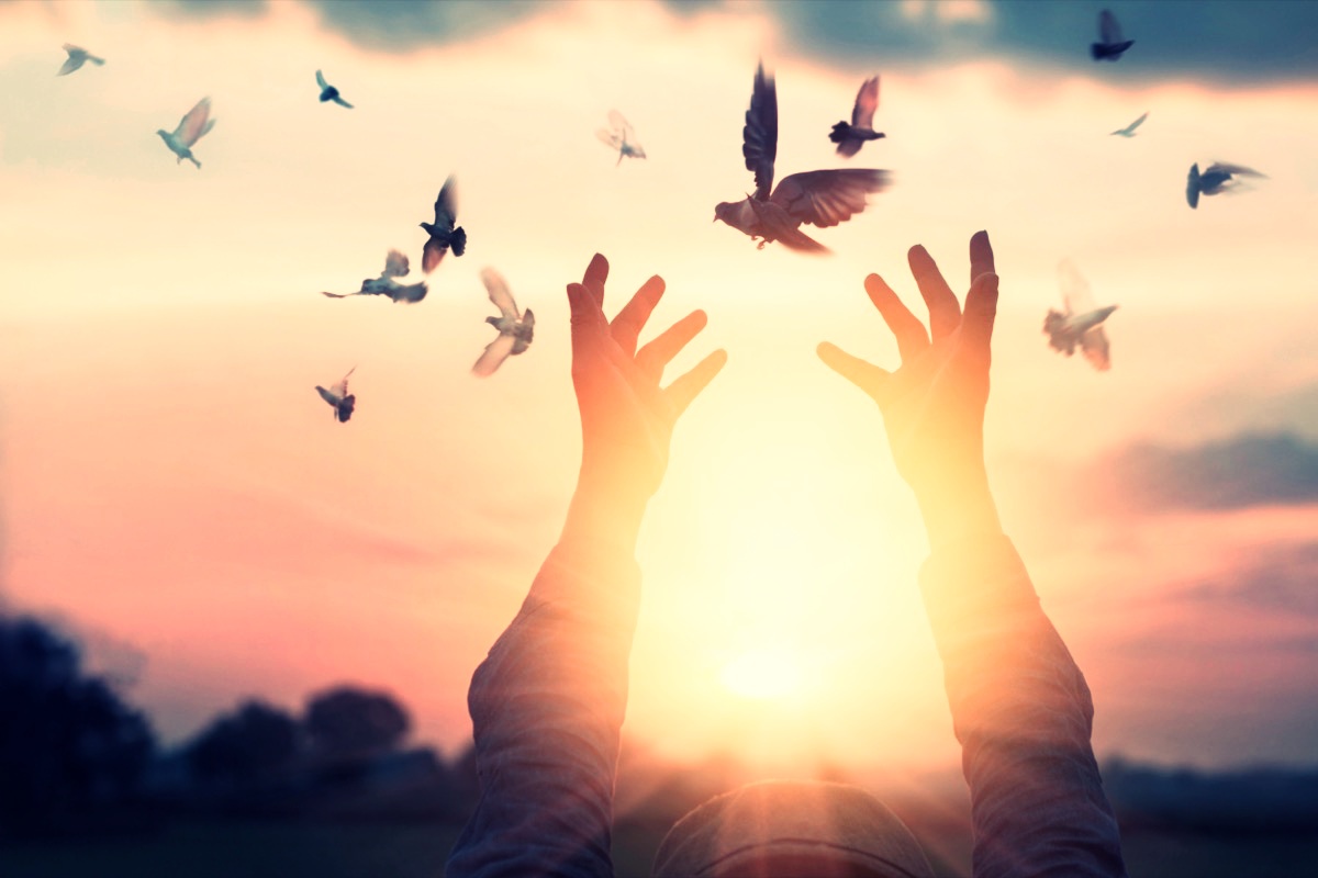 freepik-woman-praying-and-free-bird